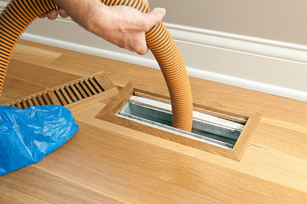 Best Local Air Duct Cleaning Services  in Ceresco, NE