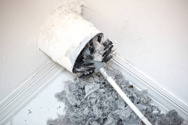 Best Dryer Vent Cleaning Services  in Ceresco, NE